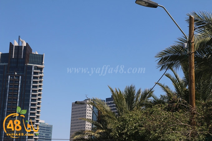 inara 7sanbek (8).JPG